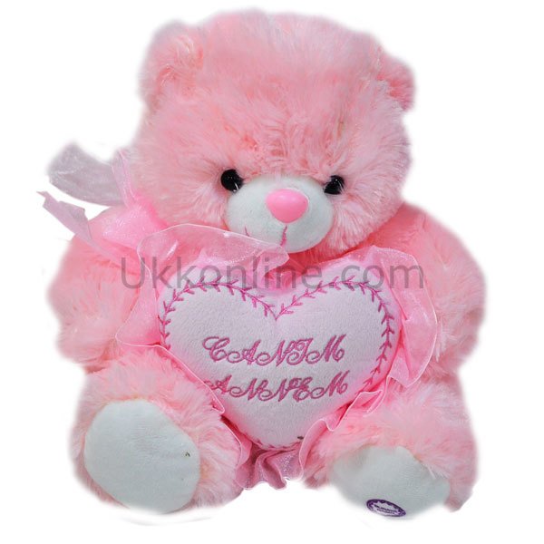 1015726B ANNEYE HEDİYELİK PELUŞ AYICIK