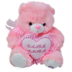 1015726B ANNEYE HEDİYELİK PELUŞ AYICIK