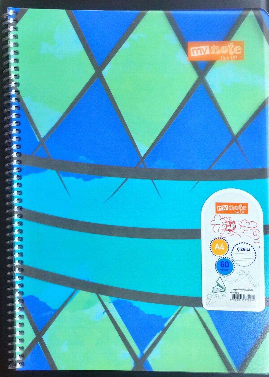 MYNOTE FLEX UP 60 YAPRAK ÇİZGİLİ UC6122-Ç