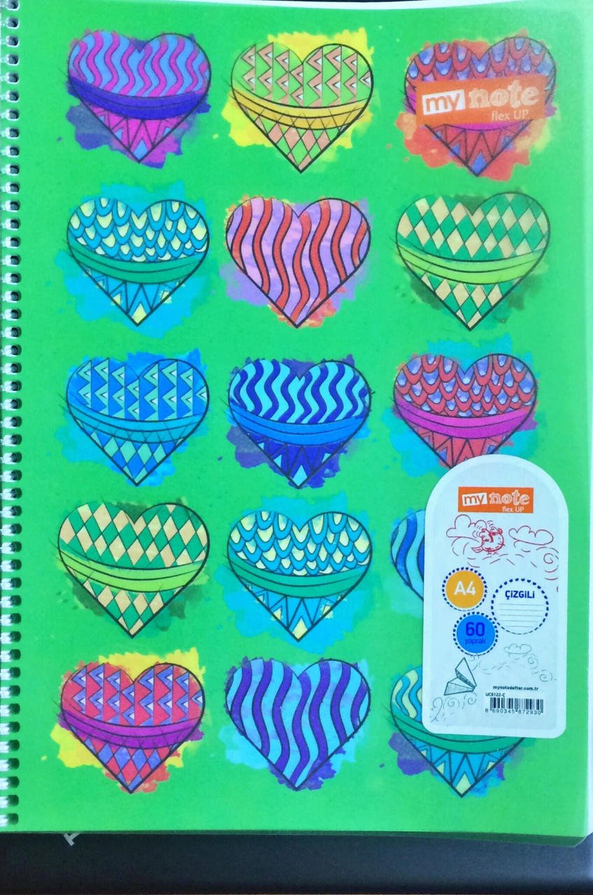 MYNOTE FLEX UP 60 YAPRAK ÇİZGİLİ UC6122-Ç