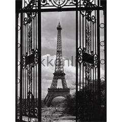 RAVENSBURGER 1500 PUZZ 163946 EIFFEL