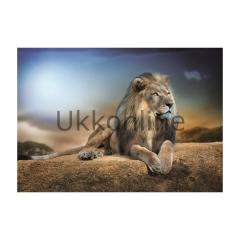 EDUCA 1000 PUZZLE 16292 HIS MAJESTY