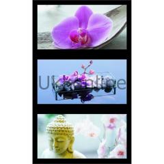 RAVENSBURGER 3x500 PUZZ 162871 ZEN VE ORKIDE