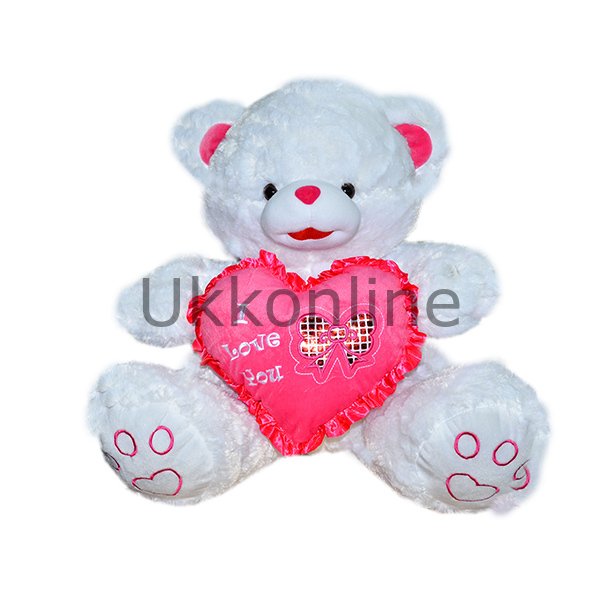 080082 YUM KALPLİ AYI 2 ASST 66CM