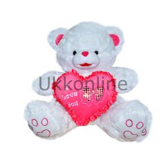 080082 YUM KALPLİ AYI 2 ASST 66CM