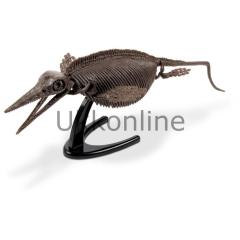 Geoworld Dino Kazı Seti CL758K Ichthyosaurus