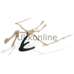 Geoworld Dino Kazı Seti CL754K Tropeognathus