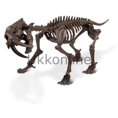 Geoworld Dino Kazı Seti CL749K Sabre T. Tiger