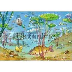 RAVENSBURGER COCUK 2x24 PUZZLE 091966 GOL YASAMI