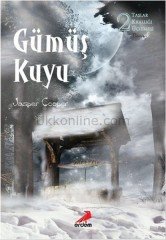 GÜMÜŞ KUYU