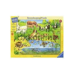 RAVENSBURGER COCUK PUZZLE ÇERC 48P 060726 HAYVANLAR