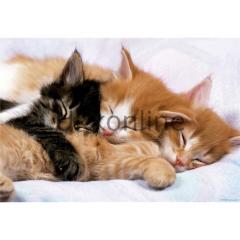Educa 500 Parça Puzzle 17087 Kittens