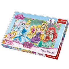 14223 24 PCS MAXİ PRENSES