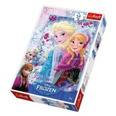 14225 24 PCS MAXİ FROZEN