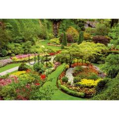 Educa 1000 Parça Puzzle Butchart Gardens 15523