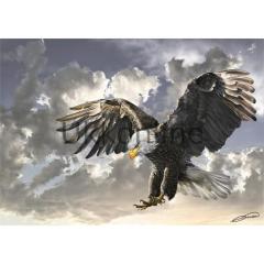 Art 500 Parça Puzzle Siyah Beyaz 4167