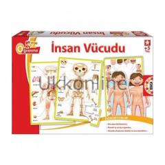 EDUCA COCUK OGRENME 15226 INSAN VUCUDU