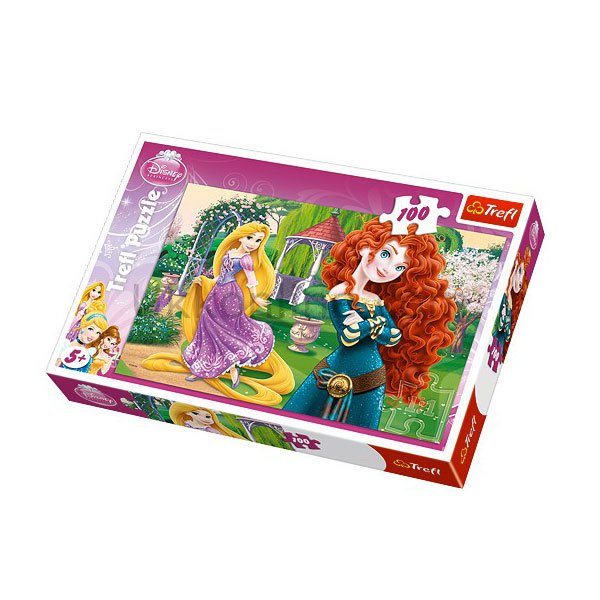 16199 100 PCS PUZZLE PRENSES
