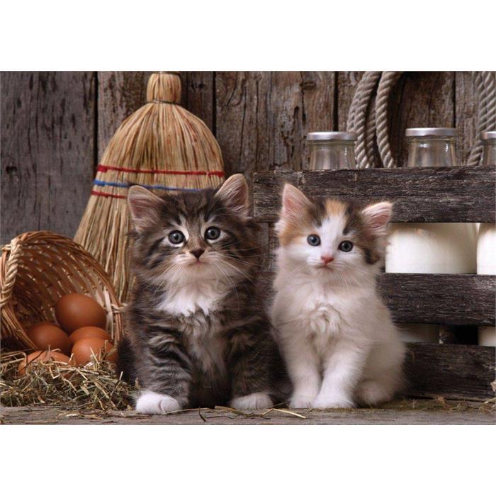 ART 4160 500 PUZZLE EYVAH YAKALANDIK