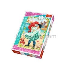 16288 100PCS PUZZLE PRENSES SAHİLDE