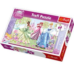17191 60PCS  PUZZLE PRENSES