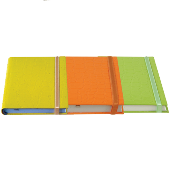 LİZ LASTİKLİ DEFTER RUGAN KARELİ 9.5-13.5
