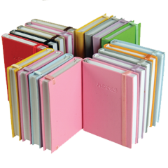 LİZ LASTİKLİ DEFTER SOFTÇİZ 9.5-13.5