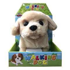 482/484 KUT.KULUBELİ KÖPEK