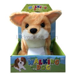 482/484 KUT.KULUBELİ KÖPEK