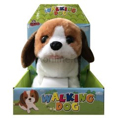482/484 KUT.KULUBELİ KÖPEK