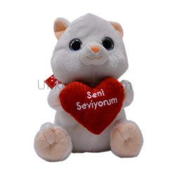 CCV015 PEL. KALPLİ HASKY KEDİ VE 2 ASS.