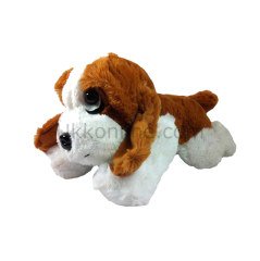 24094-25117-712  PEL.PİL. FONK.KÖPEK-MAYMUN