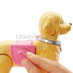 DWJ68 BRB-BARBIE ve TUVALET EĞİTİMİNDEKİ KÖPEĞİ /Barbienin Ailesi