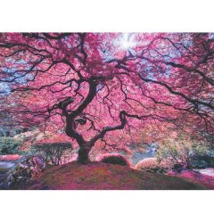1037 PINK TREE