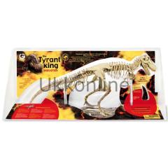 CL164K Tyrant King Display T-Rex Iskelet