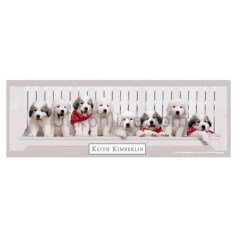 3139 YEDEK KULUBESİ/BENCH 1000PCS