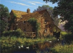 3147 DEREDEKİ ÖRDEKLER / BY THE STREAM 1000PCS