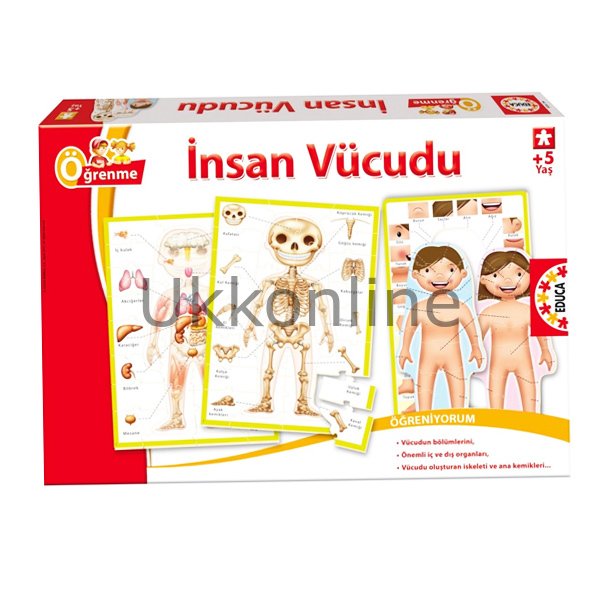15226/EDU  İNSAN VÜCUDU / Educa
