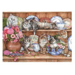 3158 YAVRU KEDİLER/KITTENS 1000PCS