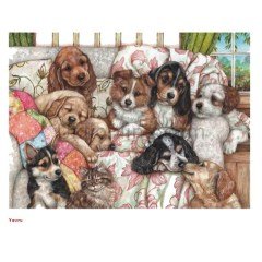 3162 YAVRU KÖPERKLER/PUPPIES 1000PCS