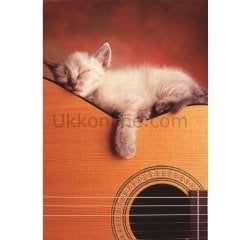 15510/EDU 500pcs MY GUITAR /Educa /500 parça puzzle