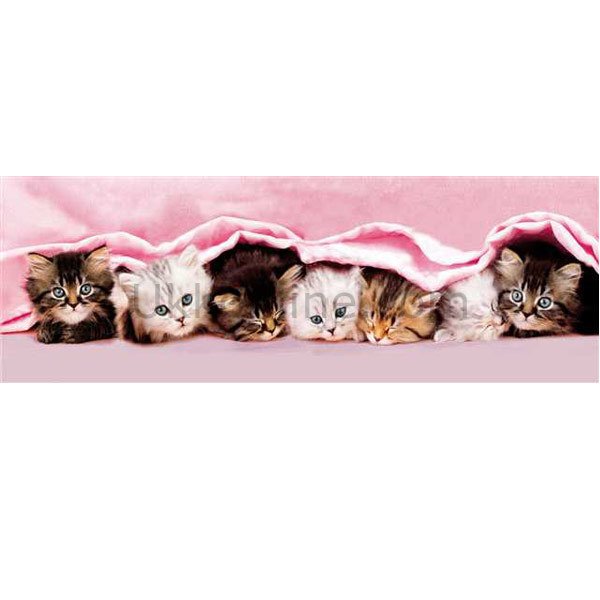 39127 KITTENS /1000 ParçaPuzzlePanorama