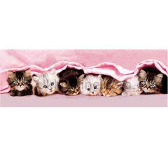 39127 KITTENS /1000 ParçaPuzzlePanorama