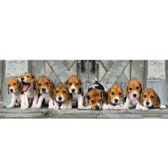 39076 BEAGLES PANORAMA /1000 ParçaPuzzle