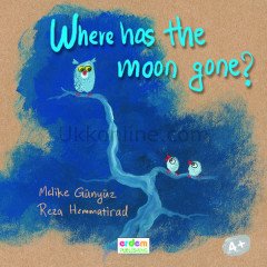 WHERE HAS THE MOON GONE