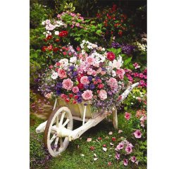 3311 BAHÇE ÇİÇEKLERİ-GARDEN FLOWERS