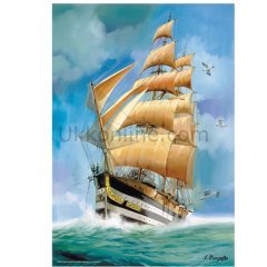 3529 KARAYİP KRALI/ CARIBBEAN KING