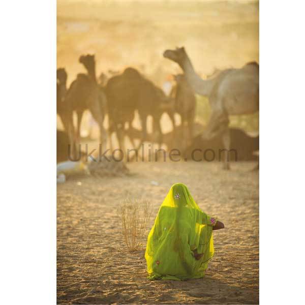 39302 INDIAN WOMAN NATGEO /1000 ParçaPuzzle
