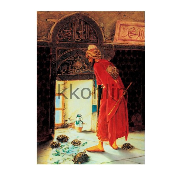 4452 KAPLUMBAĞA TERBİYECİSİ / ART Puzzle