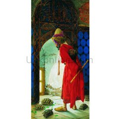 3755 KAPLUMBAĞA TERBİYECİSİ